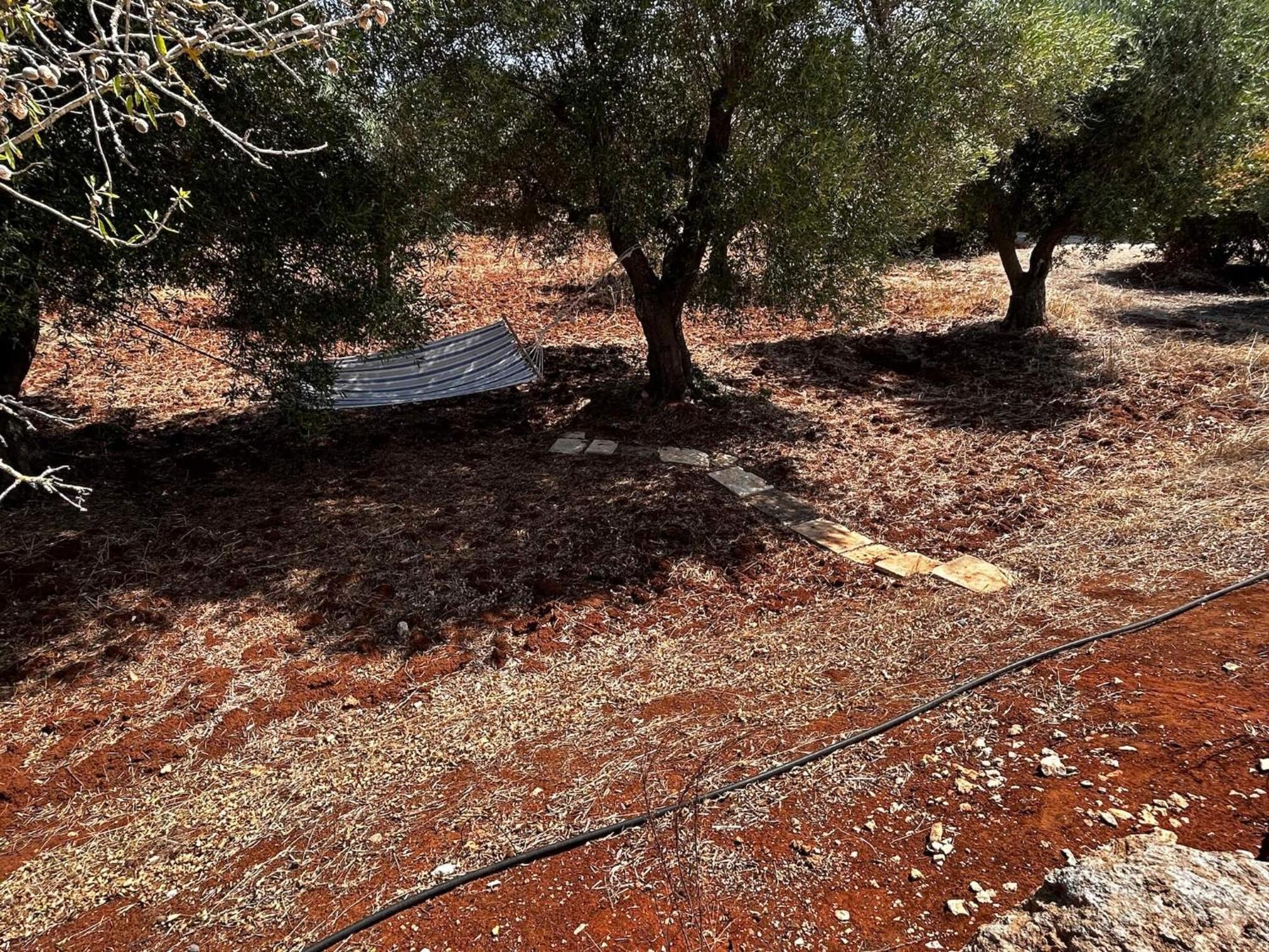 Traditional Trullo With Private Pool Near Ostuni Villa Exterior foto